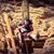 David Curtis's profile image