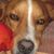 Julie H-p's profile image