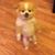 Anna Berriesle's profile image