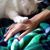 Maryanne Schoenbaum's profile image