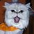 Fred Hallaran's profile image