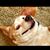 Elizabeth Schleig's profile image