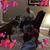 Betty Dirksen's profile image