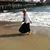 Ellen Grimsley LeTard's profile image