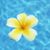 Shelia Healthandfitness Collins's profile image