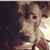 Javian Parris's profile image