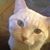 Amanda Lafleur Riviere's profile image