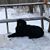 Bill Hansen's profile image
