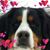 Terry Mckenney's profile image