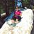 Becky Borden Stillwell's profile image