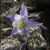 Marilyn Fite's profile image