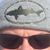 Stephen Michaels's profile image