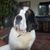 Jascha Morton's profile image