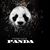 Amanda Stager's profile image