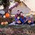 James D Wileman's profile image