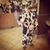 Ruth Murillo's profile image