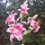 Jennifer Saucier Hartman's profile image