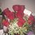 Nasha VsYfe's profile image