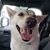 Bernadette Phillips Cullison's profile image