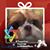 Gudrun Kuever's profile image