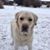 Parker David Jones's profile image