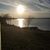 Suzette Vlaovich's profile image