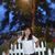 Ivy Yang's profile image