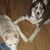 Pam Bondy's profile image