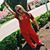 Grace Brown's profile image