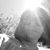 Letitia Gray's profile image