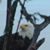 Bill Johnson's profile image