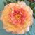 Leah J. Margan's profile image
