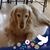 Susan P Olita's profile image
