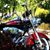 Stacey Bettridge's profile image