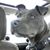 Sheehan Johnson's profile image