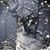 Jennifer L Joseph-Mays's profile image