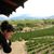 Molly Nowak's profile image