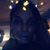 Nette Gilliam's profile image