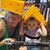 Vickie Robinson Koppelmann's profile image