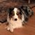 Kimberly Stokes Waldron's profile image