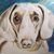 Sandra Ambrose's profile image