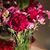 Cathy Landeros's profile image