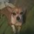 Steve Haley's profile image