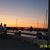 Debra Hammell's profile image