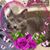 Teresa Griffin's profile image