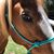 Susan Lamberger Kilian's profile image