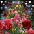 Darlene Jones's profile image