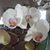 Mary June Clemens's profile image