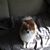 Sherry Whisnant Klein's profile image