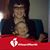 Marnie Kaye Lewis's profile image